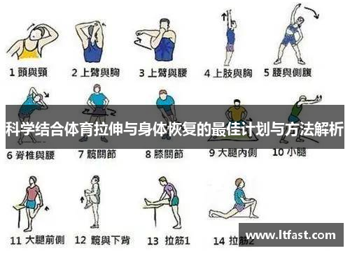 科学结合体育拉伸与身体恢复的最佳计划与方法解析